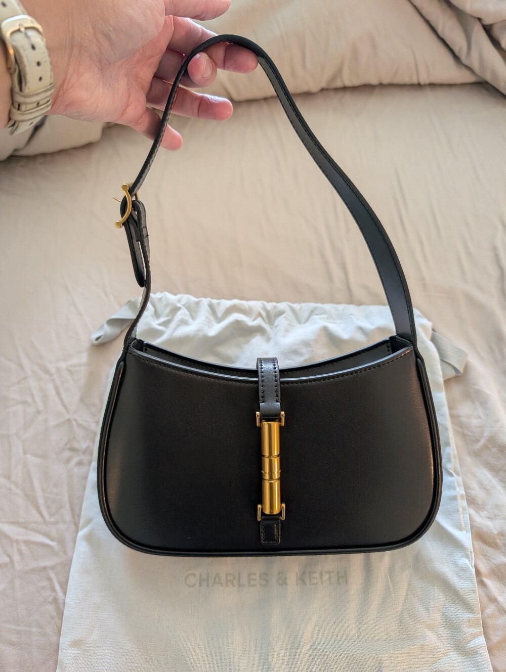 Charles And Keith Cesia Metallic Accent Shoulder Bag
